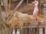 Good Wholesome Family Entertainment from Days [flexible Women]