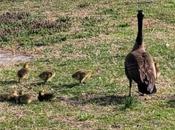 April Reading Wrap-Up