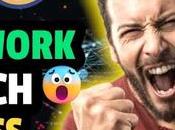 Network Will Success $1000