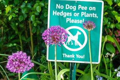 Friday Fotos: Hoboken Potpourri