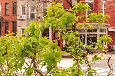 Friday Fotos: Hoboken Potpourri