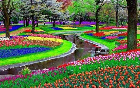 Ten Creative Ways to Bring Colour and Life to Your Garden Ten Creative Ways to Bring Colour and Life to Your Garden