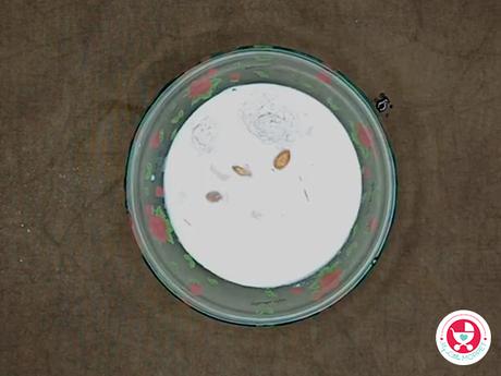 Homemade Fruit Custard with Makhana (No Custard Powder, No Refined Sugar) Homemade Fruit Custard with Makhana (No Custard Powder, No Refined Sugar)