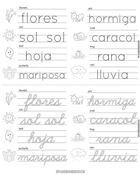 Summer Learning Themes for Bilingual Teaching