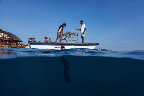 Marvelous Maldives: 5 Reasons to Choose Sun Siyam Resorts Marvelous Maldives: 5 Reasons to Choose Sun Siyam Resorts