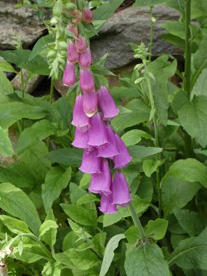 A Small Pleasure A Small Pleasure