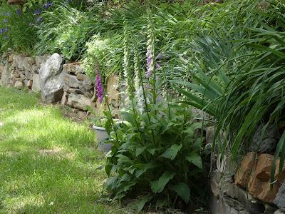 A Small Pleasure A Small Pleasure