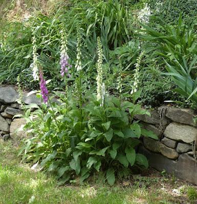 A Small Pleasure A Small Pleasure