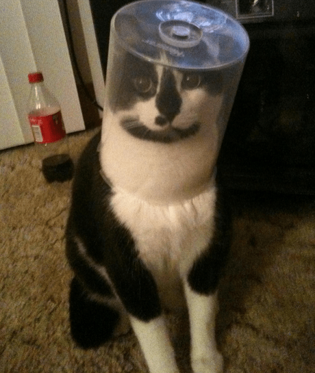 10 Harsh Truths You Should Know Before Becoming an Astronaut