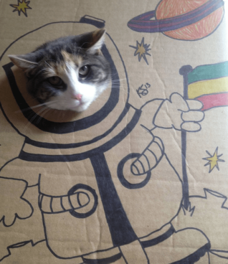 10 Harsh Truths You Should Know Before Becoming an Astronaut