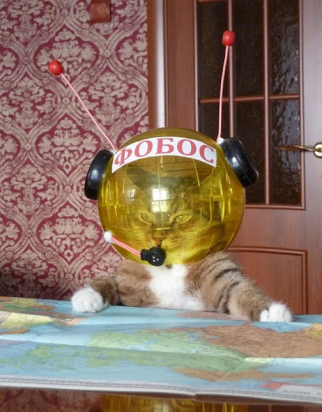 10 Harsh Truths You Should Know Before Becoming an Astronaut