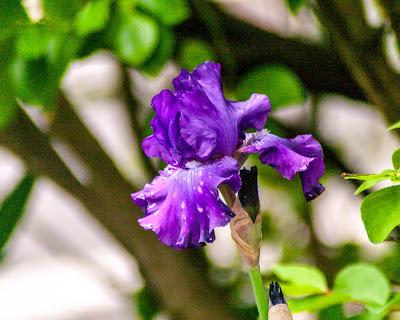 Some sights of Hoboken [no AI here]