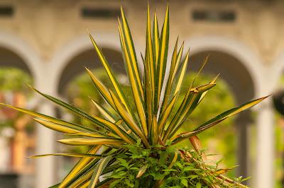 Some sights of Hoboken [no AI here]