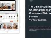 Ultimate Guide Choosing Right E-commerce Platform Your Business (2025 Edition)