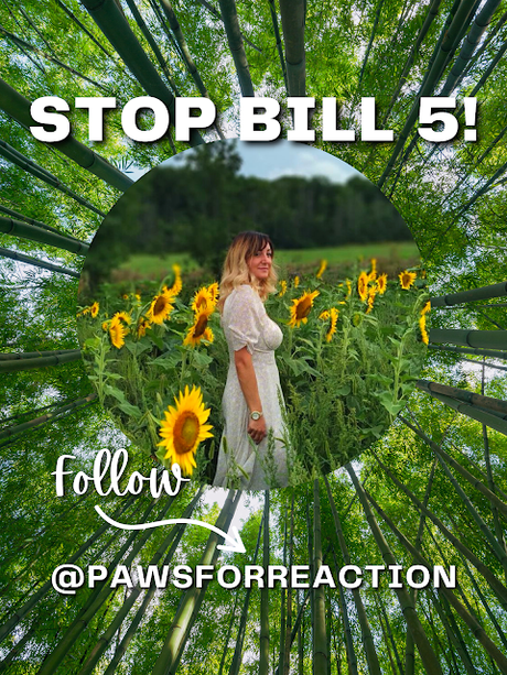 Help Hazel STOP BILL 5 in Ontario that will destroy the Endangered Species Act