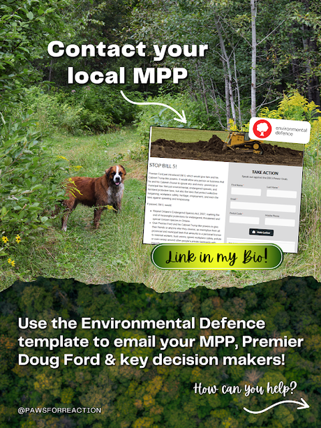 Help Hazel STOP BILL 5 in Ontario that will destroy the Endangered Species Act