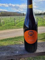 Grape Spotlight: Virginia Gamay Through the EWE25