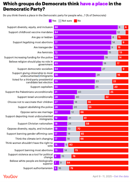 Who Belongs In The Democratic And Republican Parties?