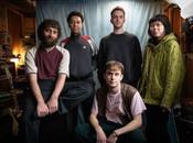 Blue Bayou: December Flowers