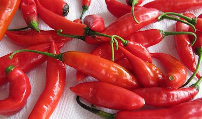 Can Eating Too Much Spicy Food Kill You?