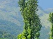 Guest Post Five Great Hill Station Destinations India