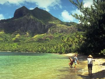 Missing Sailor Feared Eaten By Cannibals