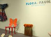 Five Questions Elizabeth Kirrane, Curator "Flora Fauna: About Nature" View Museum Arts Design.