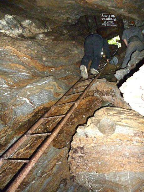 horne lake, ladder in horne lake cave