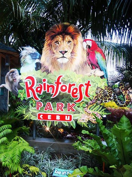 Rainforest Park Cebu