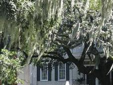 Southern Elegance