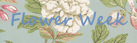Flower Week - Firenza Floral Design