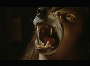 Hardly Horror Part Werewolf: Company Wolves (1984)