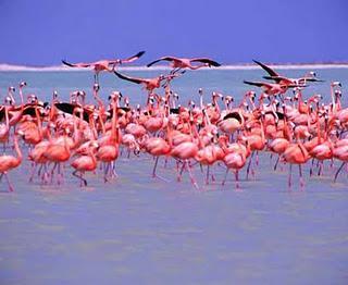 Protests over Lake Urmia