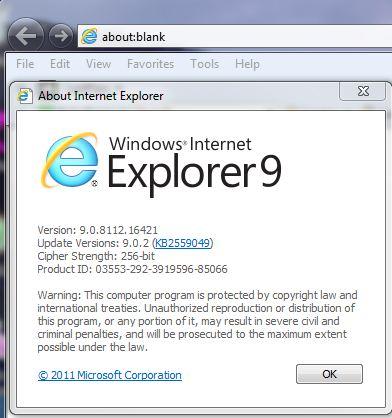 internet explorer 7 security
