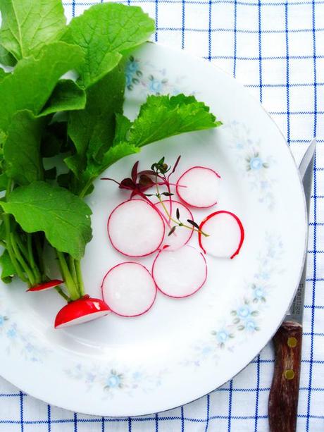 The First Harvest of Radishes with a Savory Tart – An Asparagus Salad and A Roll Cake with Dulce de Leche