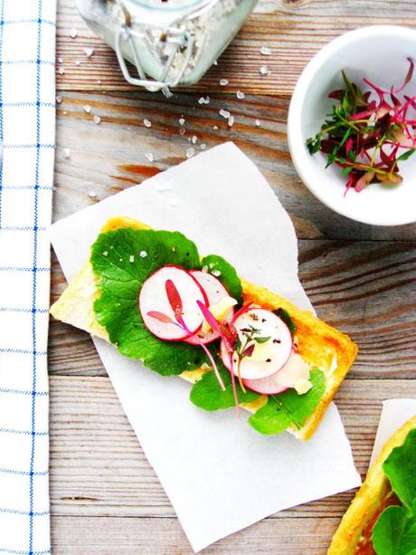 The First Harvest of Radishes with a Savory Tart – An Asparagus Salad and A Roll Cake with Dulce de Leche