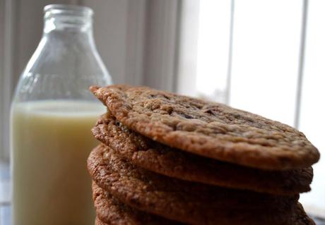 Oh, HELLO chocolate chip cookie