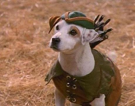 Interview with Susan Orlean - Author of Rin Tin Tin Interview with Susan Orlean - Author of Rin Tin Tin