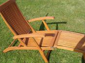 Ryan's Garden Competition: Hardwood Steamer Chair