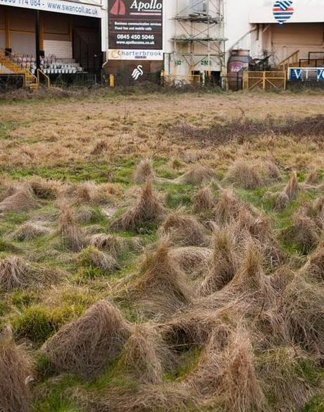 An Unlikely Transition: Football Stadium to Community Garden