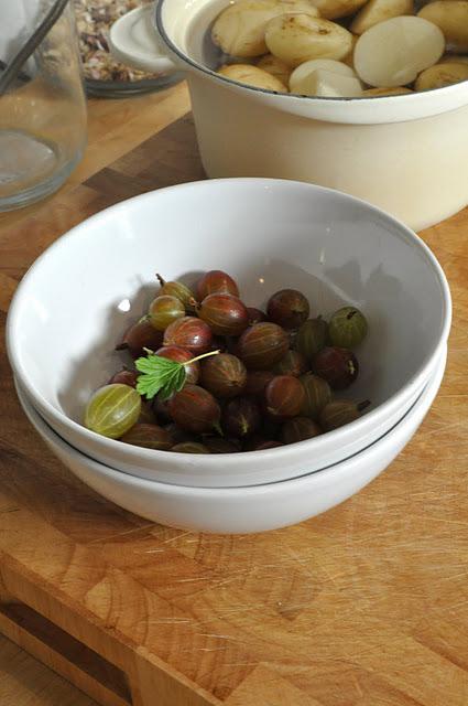 Potatoes, Pudding and the Poundshop Cutting Garden