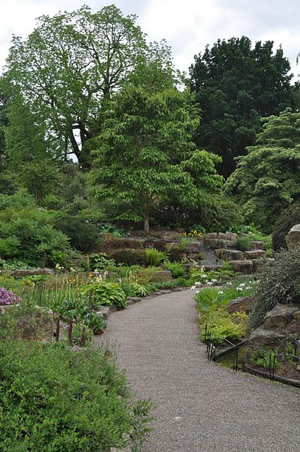 A Walk Around Kew Gardens with Richard Wilford