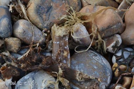 Scavenger Hunt Sunday