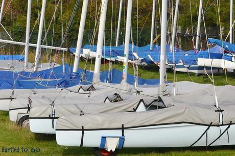 Scavenger Hunt Sunday