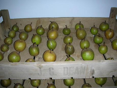 Pear storage