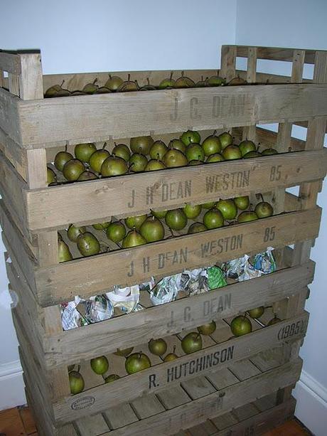Pear storage
