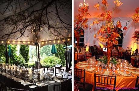 Autumn Leaves Theme- Your Best Choice for an Autumn Wedding!