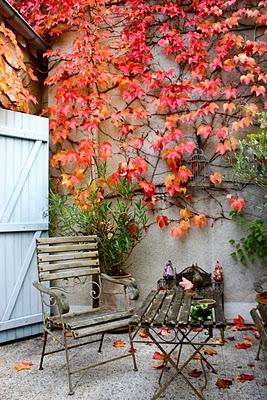 Day 169: Postcards from Loire.