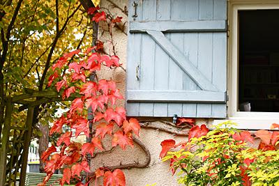 Day 169: Postcards from Loire.