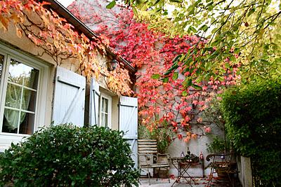 Day 169: Postcards from Loire.